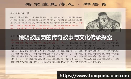 姚明故园菊的传奇故事与文化传承探索